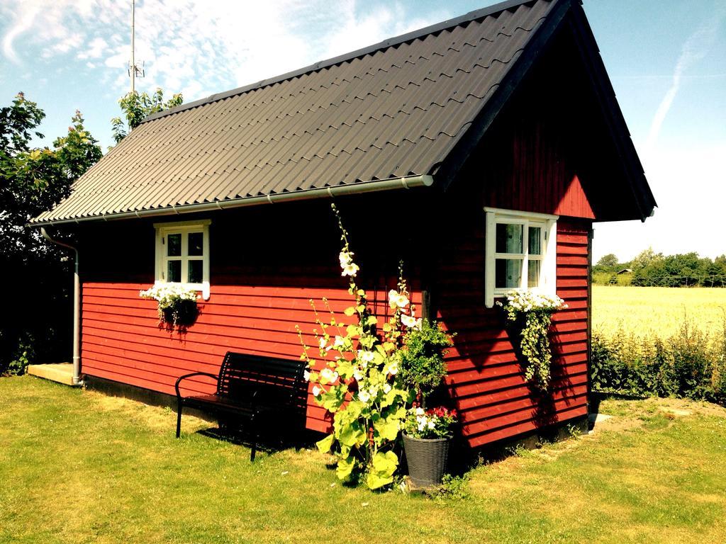 Olholm Cottage Stege Bilik gambar