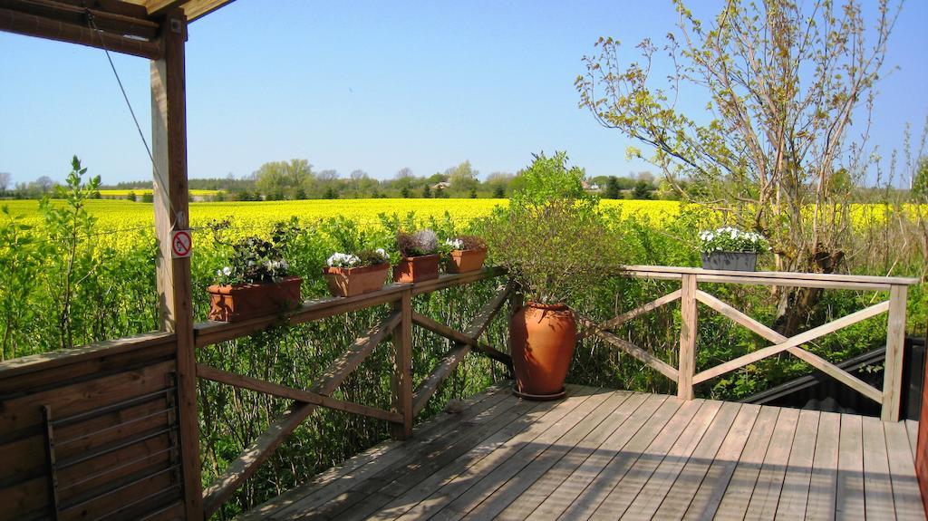 Olholm Cottage Stege Bilik gambar