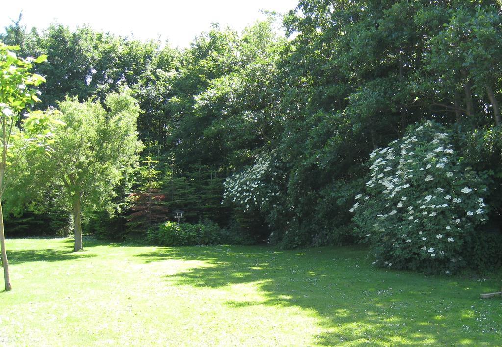Olholm Cottage Stege Bilik gambar