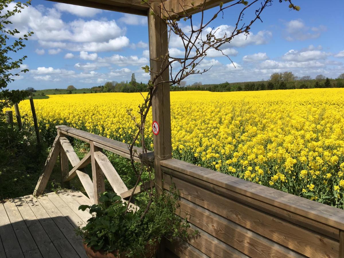 Olholm Cottage Stege Luaran gambar